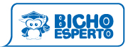 BICHO ESPERTO - Editoras - Blumenau, SC