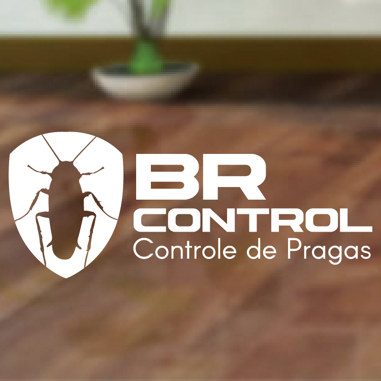 BR CONTROL CONTROLE DE PRAGAS - Controle de Pragas Urbanas - Produtos para - São Leopoldo, RS