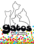 GATOS DA NOITE - Fotografias - Estúdios - Santos, SP