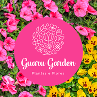 GUARU GARDEN - Jardins - Artigos e Projetos - Guarulhos, SP