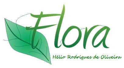 HÉLIO PLANTAS ORNAMENTAIS - Decoração - Flores e Ornamentos - Ibiúna, SP