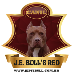 JE PITBULL - Animais - Serviços - Belo Horizonte, MG