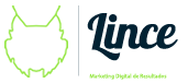 LINCE MARKETING DIGITAL - Consultores de Marketing para Internet - Campinas, SP