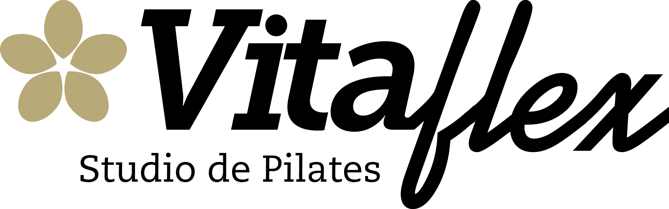 VITAFLEX STUDIO DE PILATES - Pilates - Rio de Janeiro, RJ